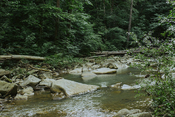 1685330972207270.jpg 01.jpg